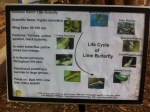 life cycle placards at Upaj